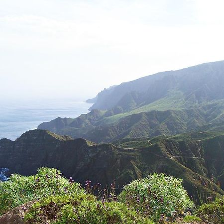 Viviendas Vacacionales Jardín La Punta Hermigua Exterior foto