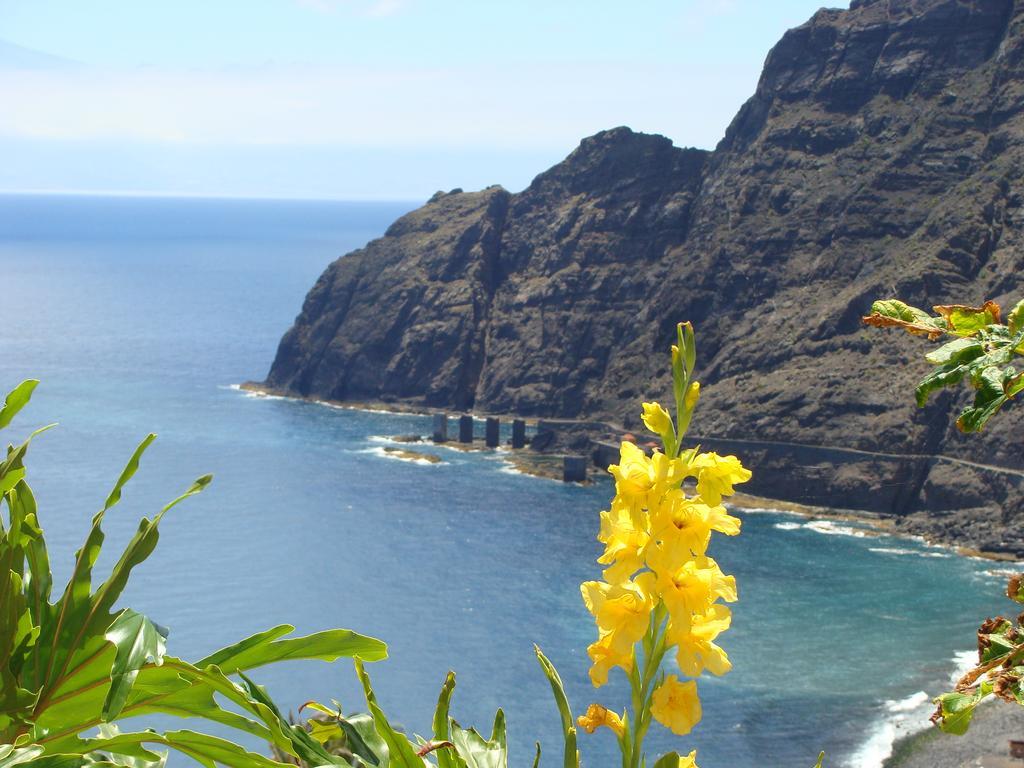 Viviendas Vacacionales Jardín La Punta Hermigua Exterior foto