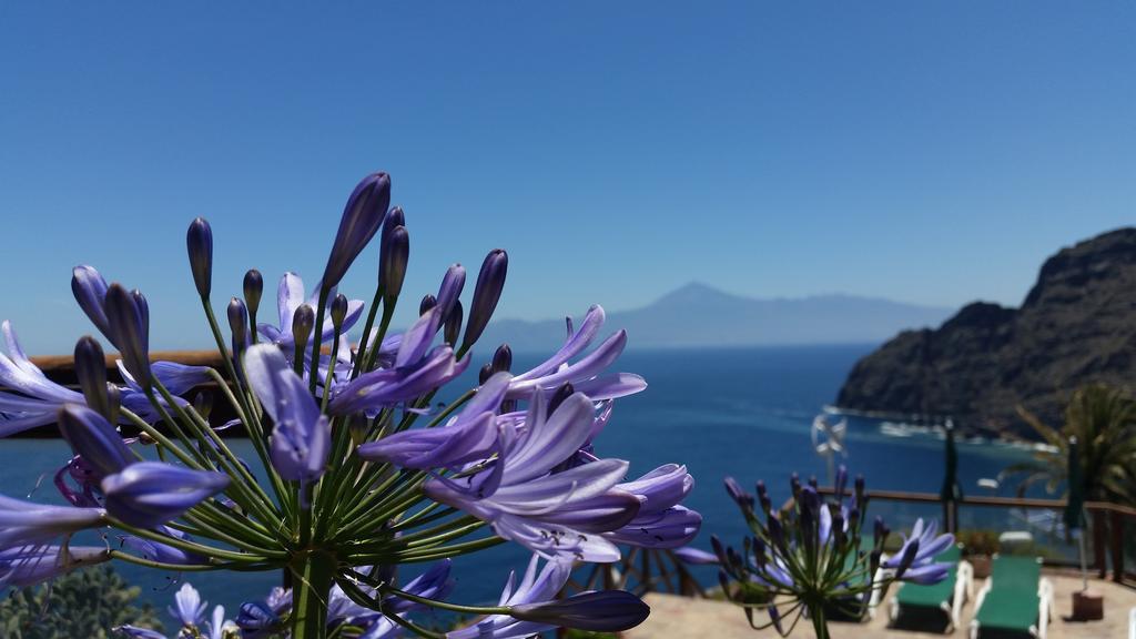 Viviendas Vacacionales Jardín La Punta Hermigua Exterior foto